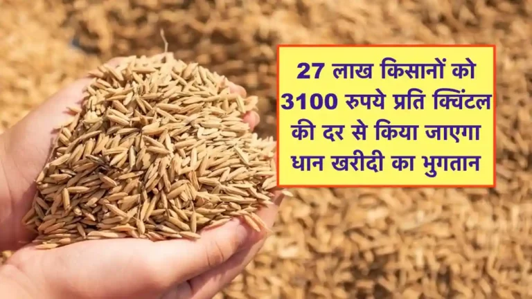 Dhan Kharid par bonus chhattisgarh kab milega