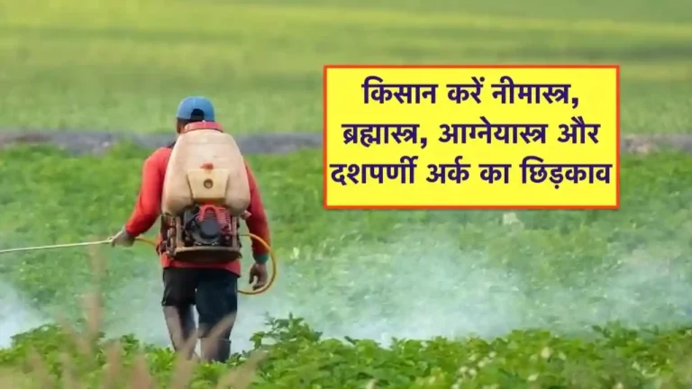 keet niyantrn ke liye neemastra bhramastra agneyastra ka chhidkav
