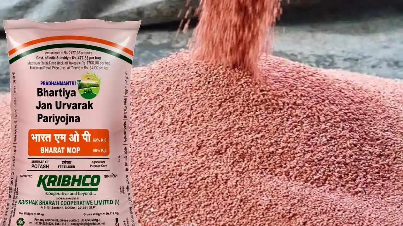 uses of potash fertilizer in agriculture