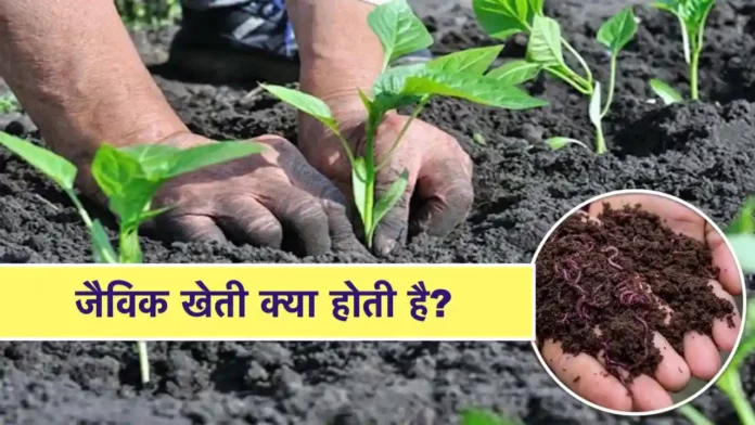 Jaivik Kheti kya hai
