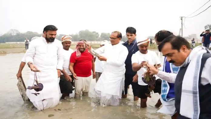 Makhana Ki kheti Shivraj Sinh Chouhan