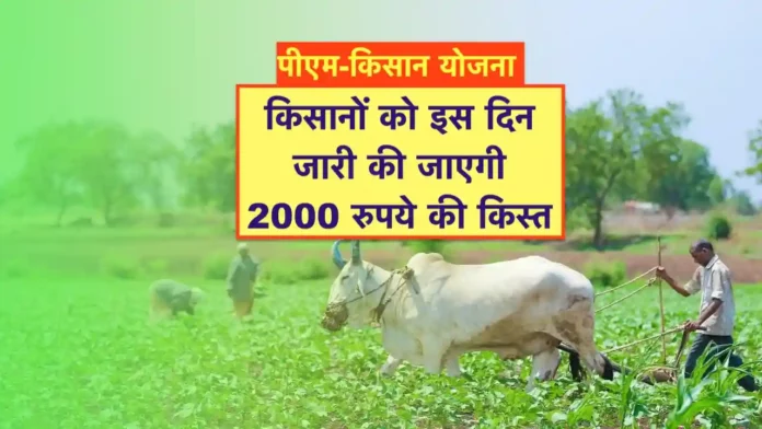 PM kisan Yojana 19th Kist kab milegi