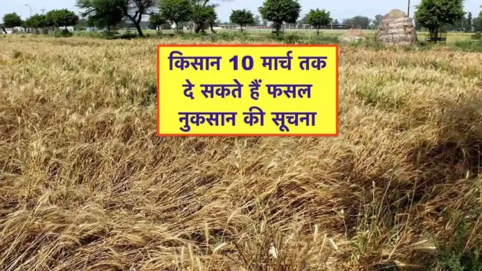 barish ole se fasal nuksan ki suchana
