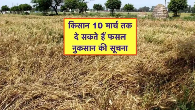 barish ole se fasal nuksan ki suchana