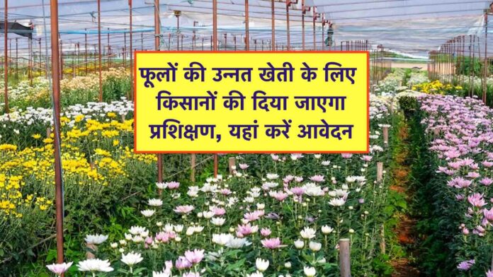 phoolon ki kheti ke liye prashikshan
