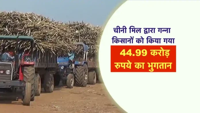 ganna bhugtan cg