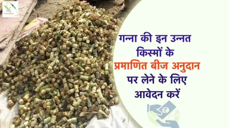 ganna ki unnat kism anudan hetu aavedan
