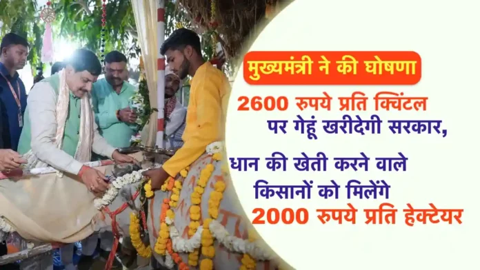 gehu MSP kharid dhan par anudan ki ghoshana