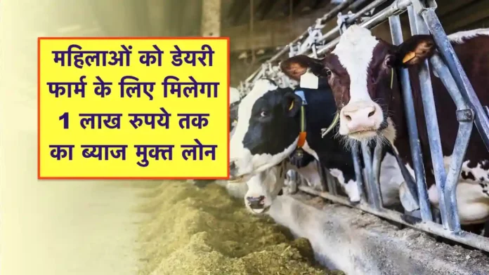 Dairy loan