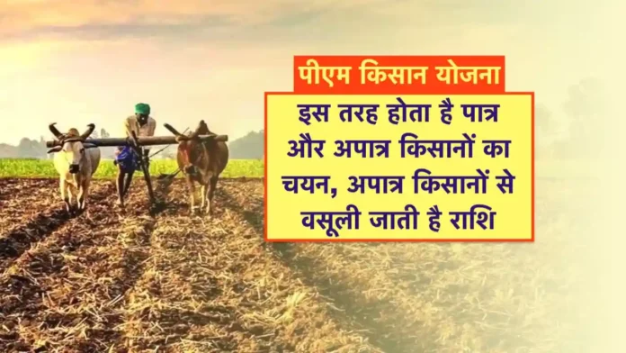 PM Kisan Yojana Detail in Hindi