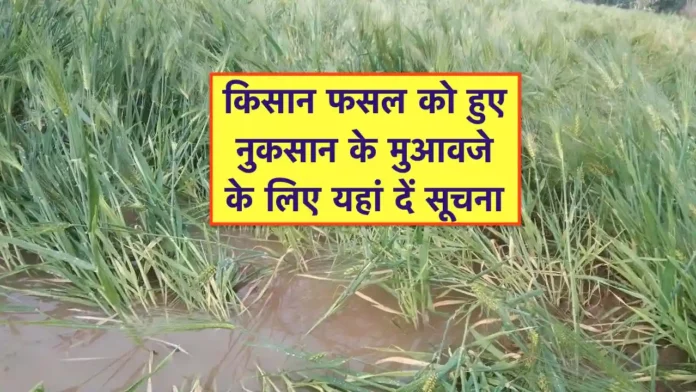 fasal nuksan ki suchna