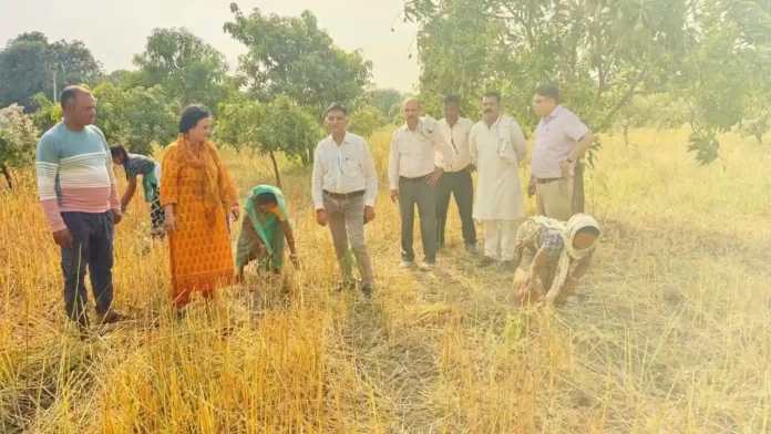 Chiya Seeds Ki Kheti se Kamai