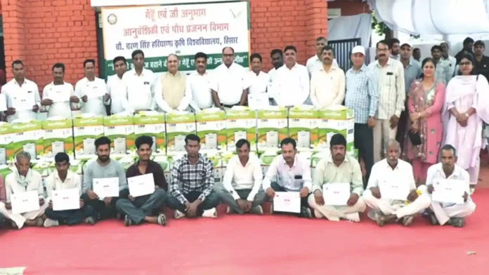 Gehun ki Kheti Ke Liye Prashikshan