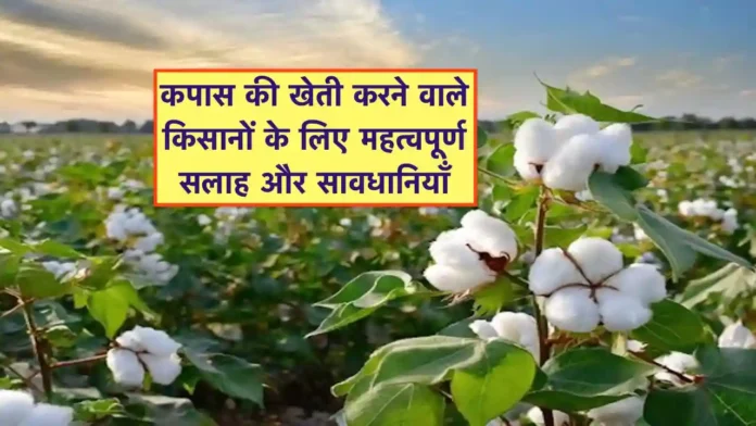 Kapas ki kheti ke liye Important salah aur savdhaniyan