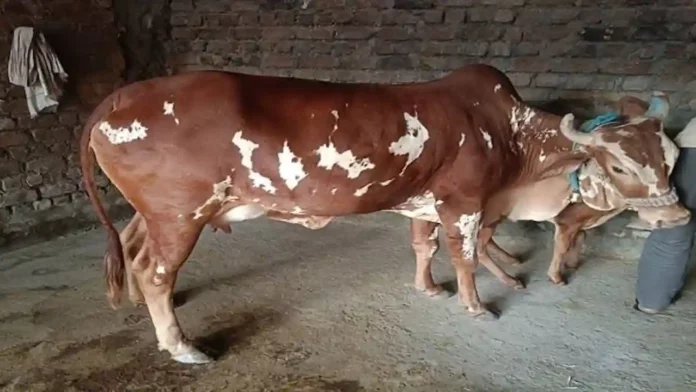 dudh utpadan pratiyogita