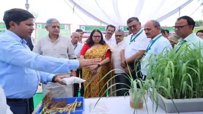 hara chara utpadan ki unnat taknik
