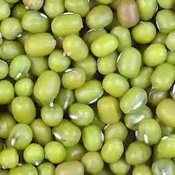moong mandi bhav aaj