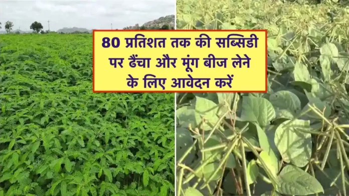 mung aur dhaincha beej par anudan hetu avedan
