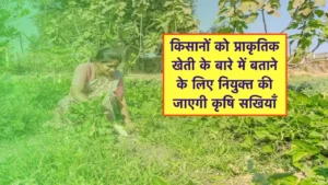 prakritik kheti ke liye prashikshan
