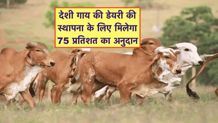 Desi Gaay ki Dairy Sthapana ke liye anudan