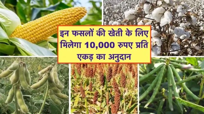 Krishak unnati yojana ke tahat anudan