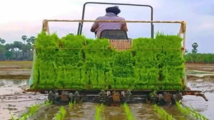 Paddy Transplanter Machine