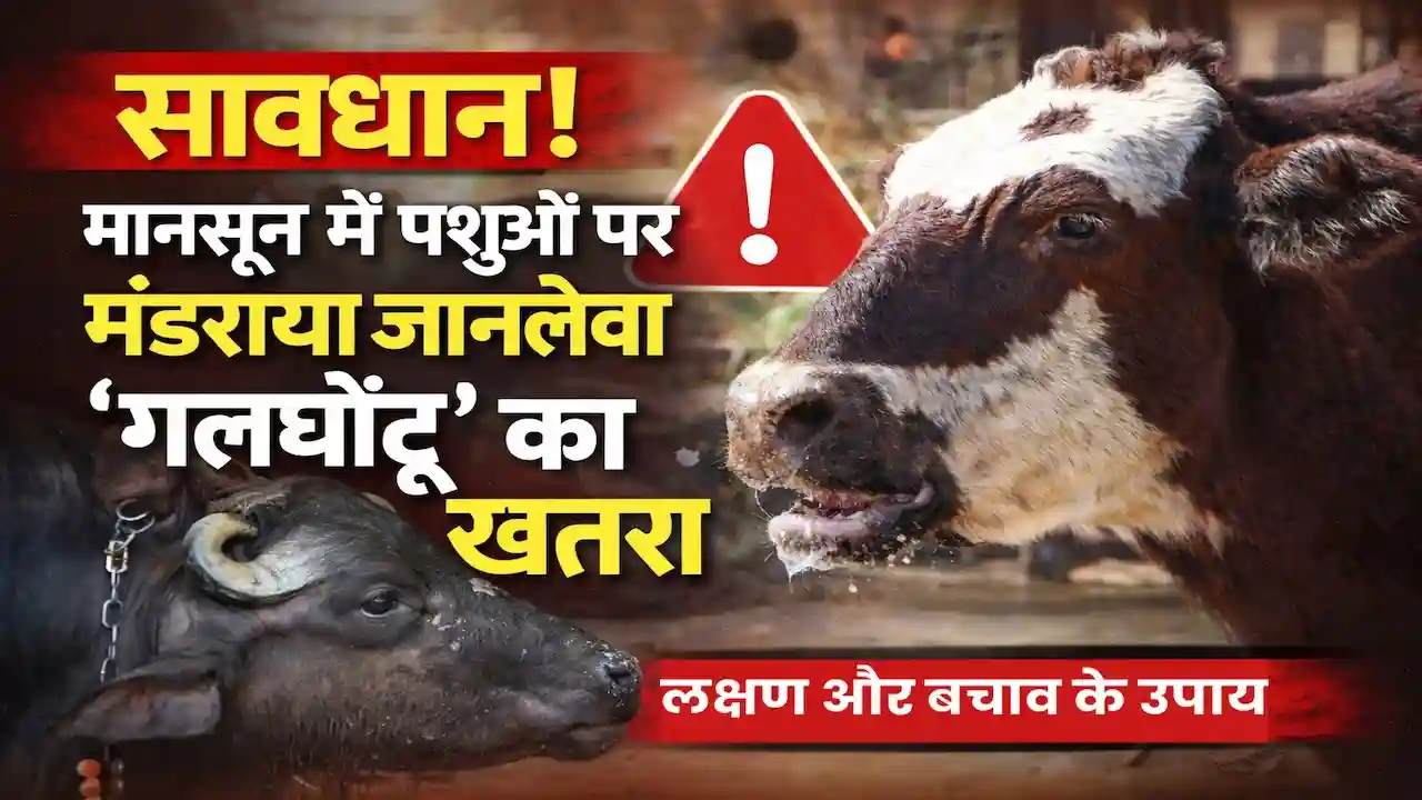 Galghotu Rog Lakshan Bachav Upay