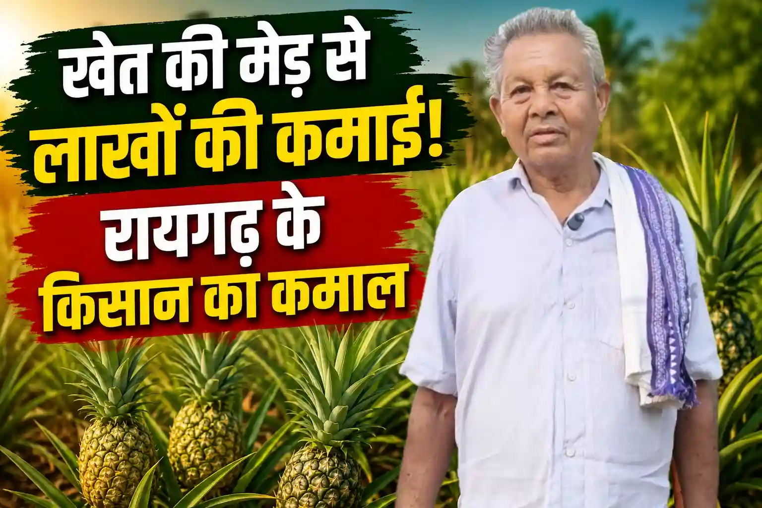 Kisan Arun Kumar Pineapple Kheti Success Story