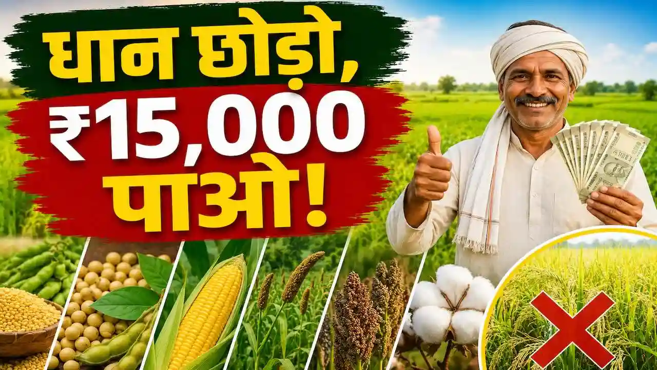 CG Cabinet Decision: धान छोड़ दूसरी फसल लगाने पर मिलेगा ₹15,000 प्रति एकड़  का अनुदान