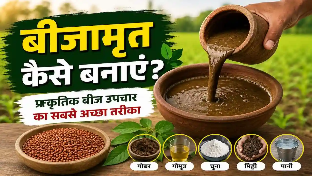 BeejaMrit Kaise Banaye Prakritik Kheti