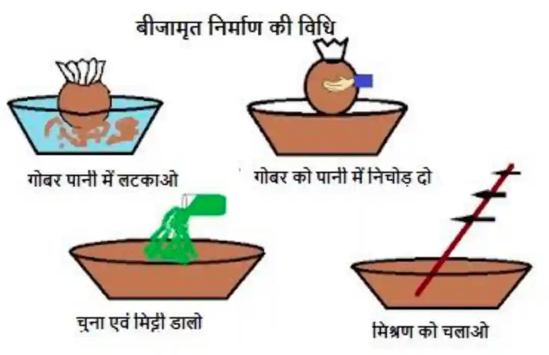 Beejamrit preparation steps by step guide 