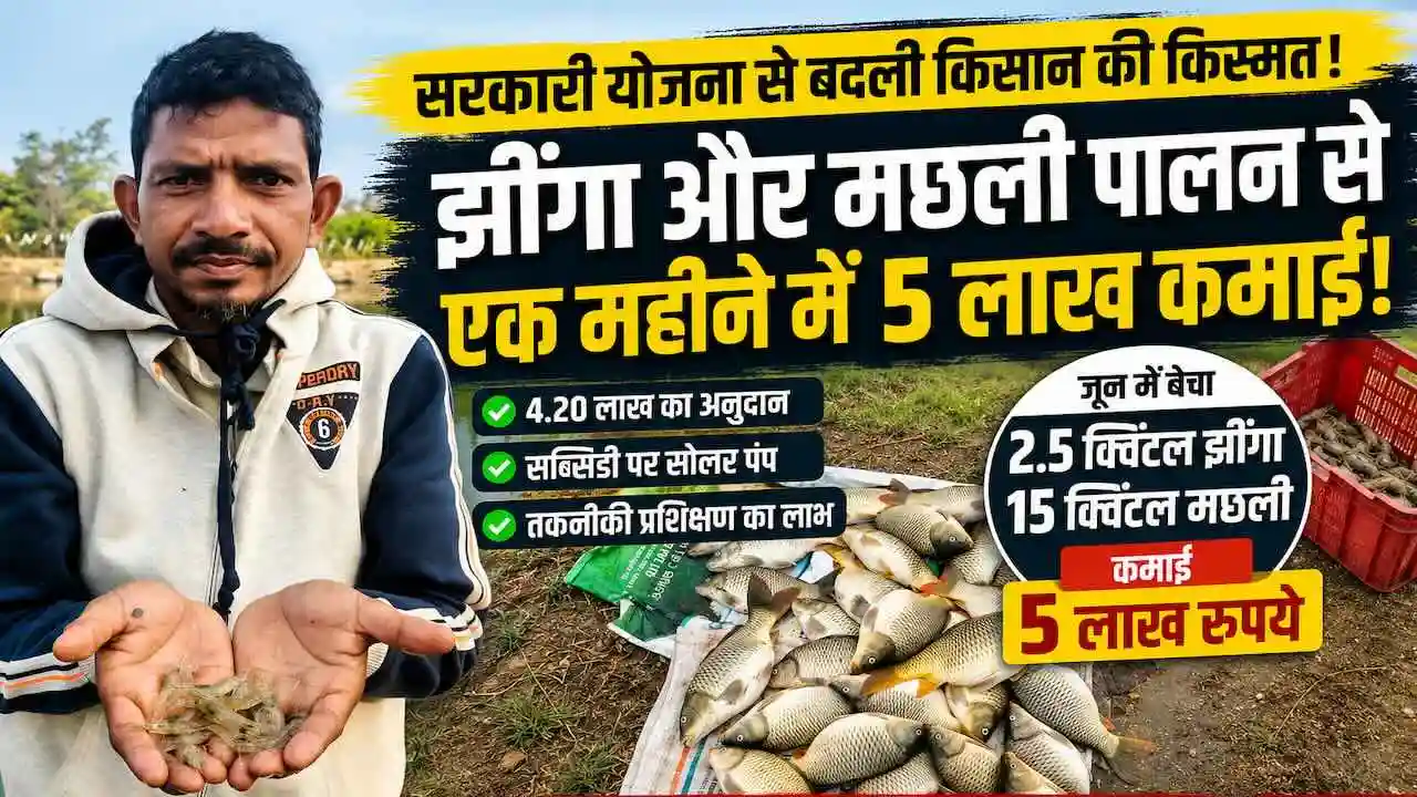 machhli aur jhinga palan se kamai