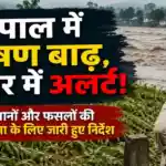 Bihar Flood Agriculture Advisory Nepal Flood