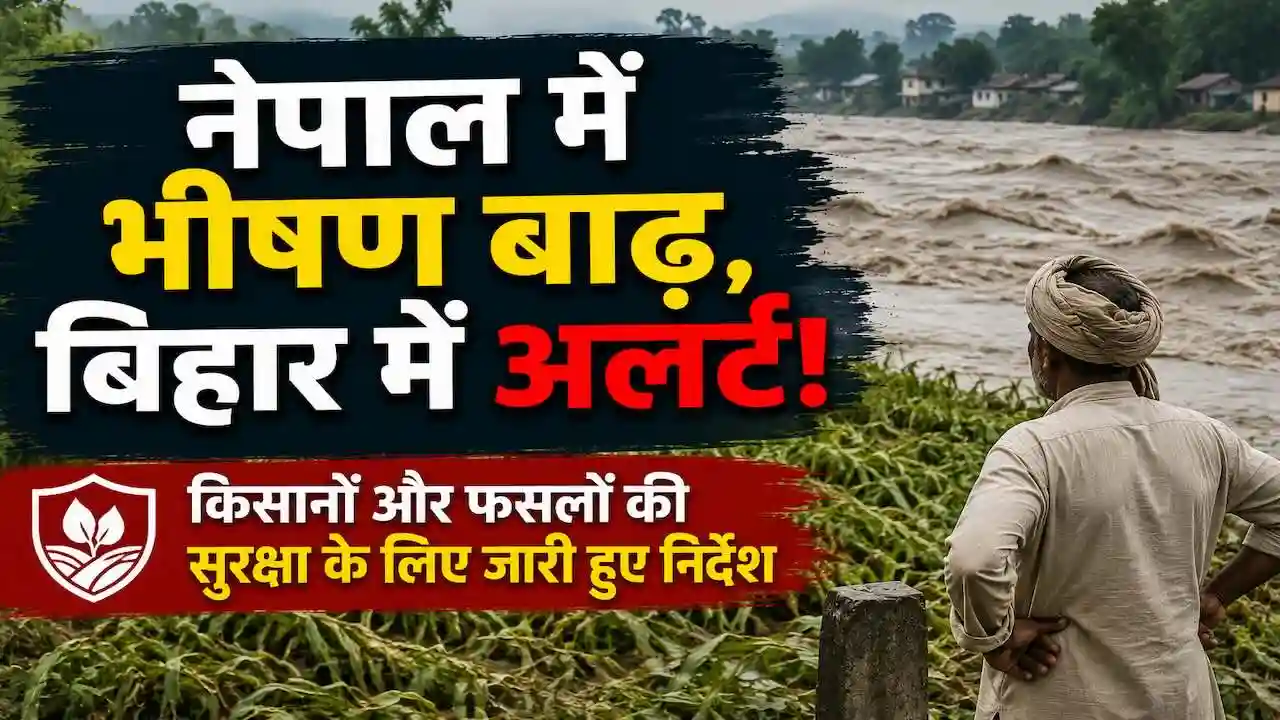 Bihar Flood Agriculture Advisory Nepal Flood