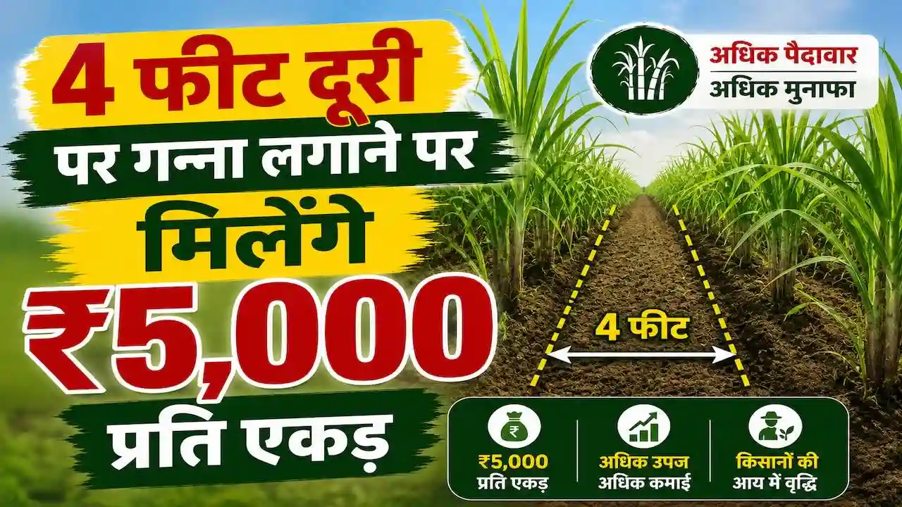 Ganna Kisan Subsidy Yojana Haryana