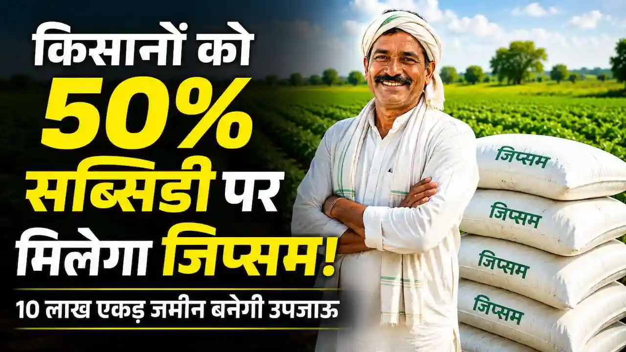Haryana Gypsum Subsidy Scheme 50 Percent Discount CM Nayab Singh Saini Land Reclamation