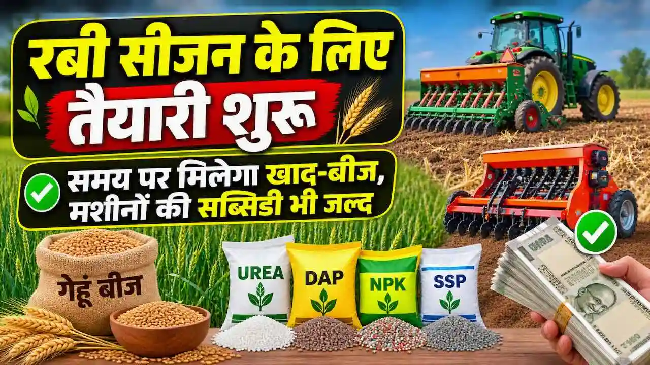 Haryana Rabi Season Fertilizer Wheat Seed Supply