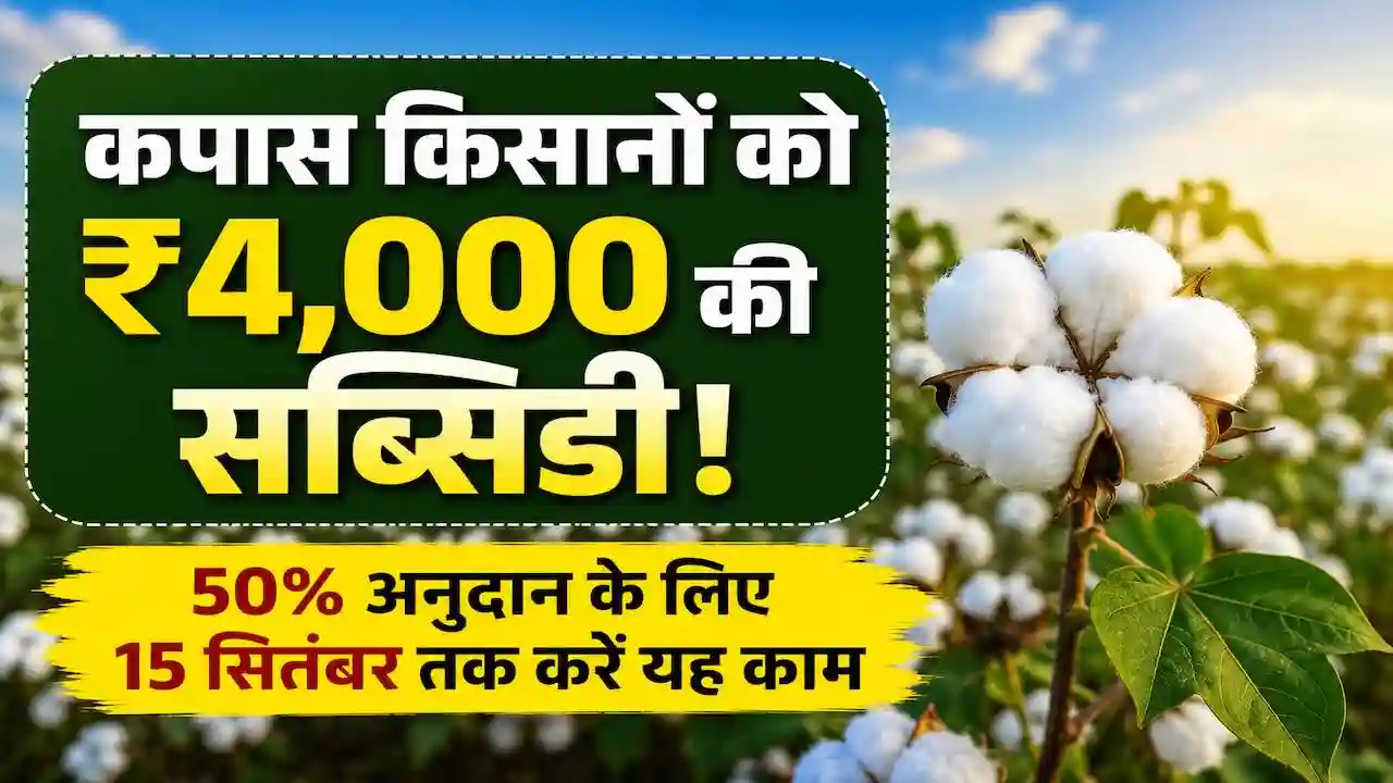 Kapas Kisan Subsidy Yojana IPM Micronutrients