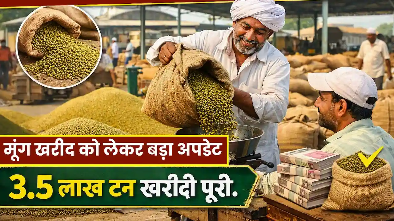MP Mung Kharid Review CM Mohan Yadav