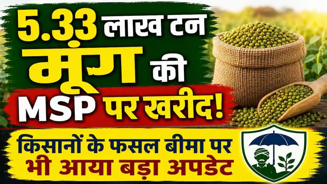 MP Summer Moong Procurement 2026