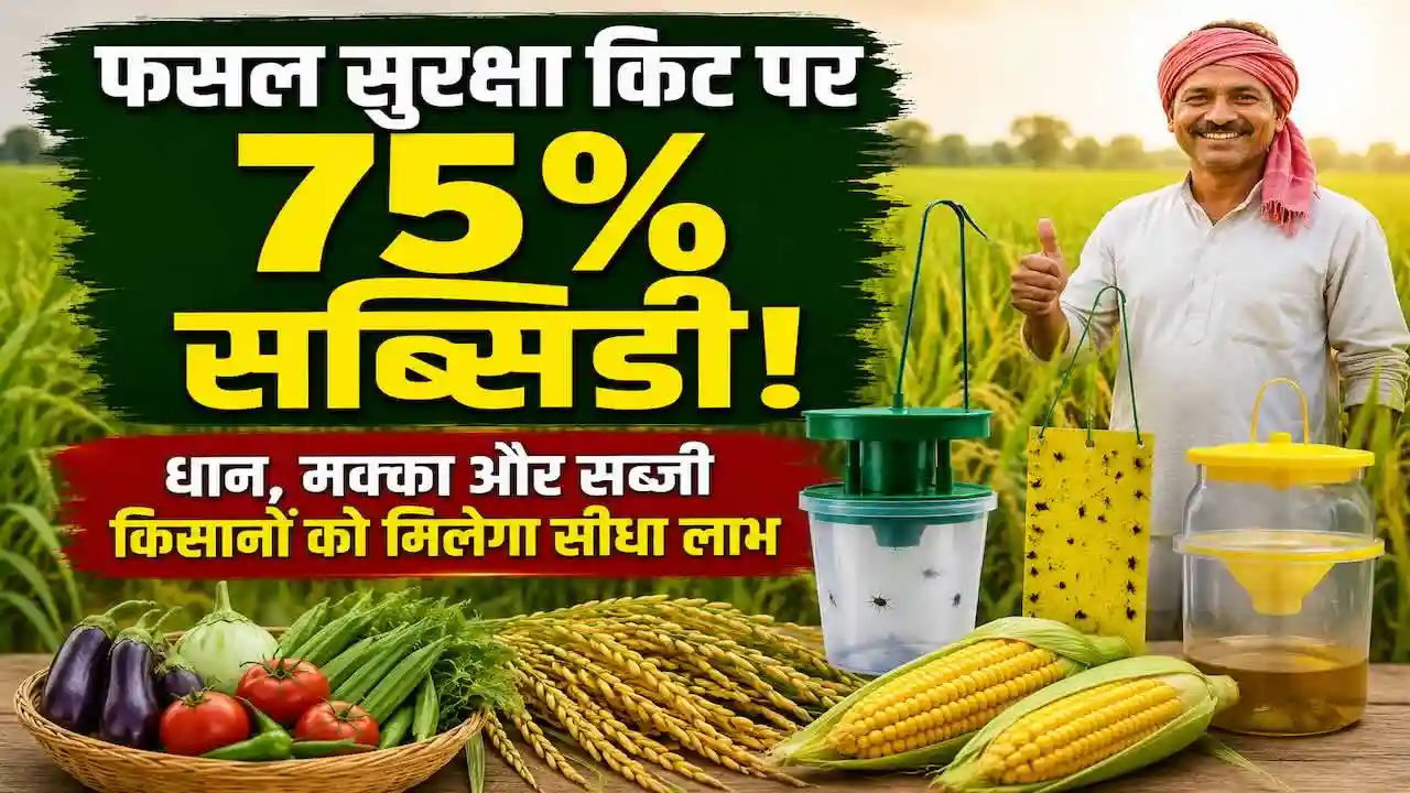 Pheromone Trap Sticky Trap Subsidy Bihar