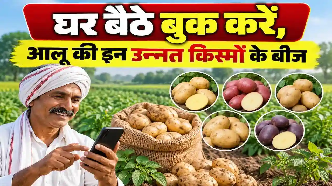 Aalu Beej Unnat Kism Online Booking Haryana