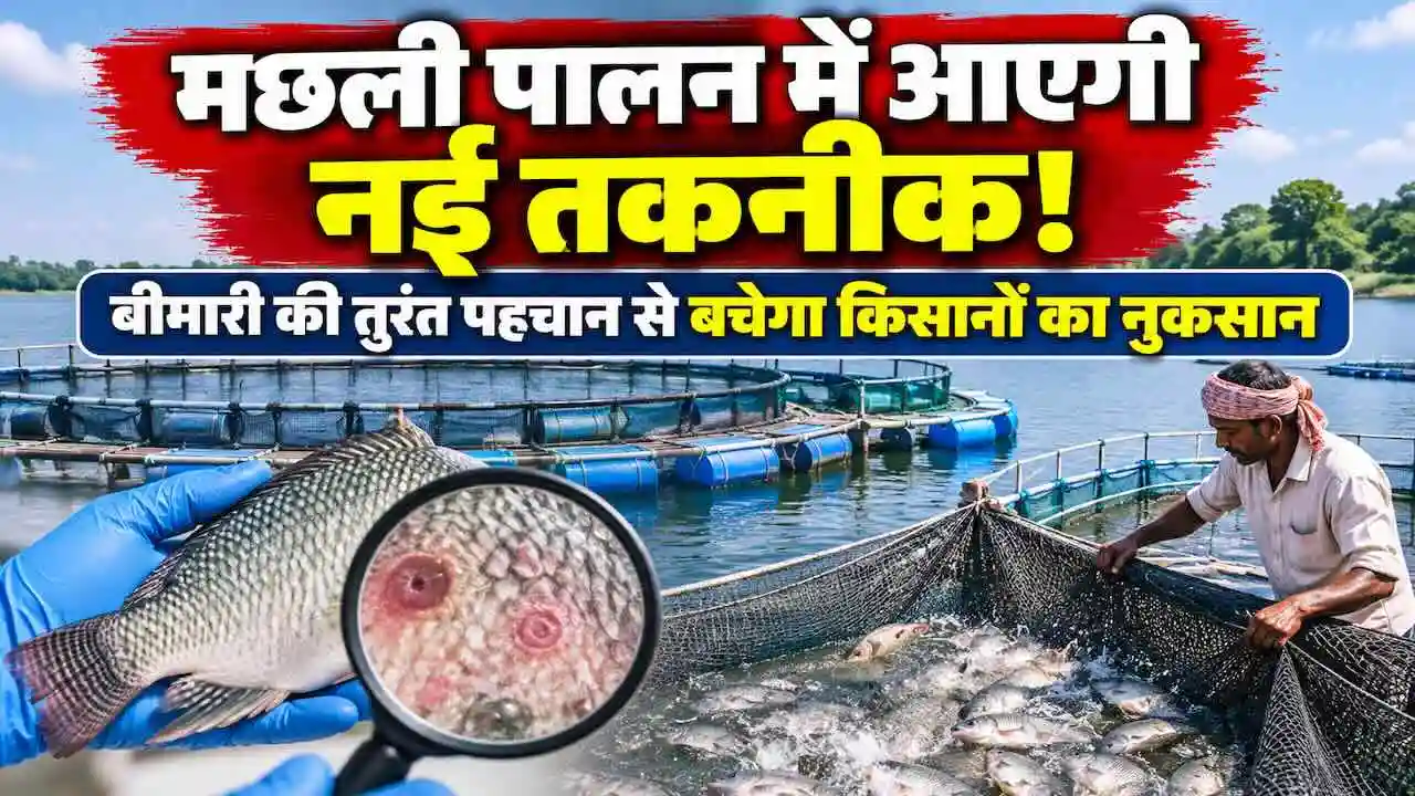 Fish Farming Cage Culture ICAR-CIFRI Raipur Workshop