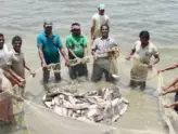 Fish Farming Subsidy Chhattisgarh Matsya Sampada Yojana