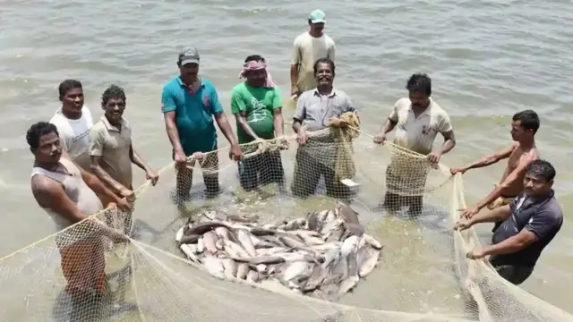 Fish Farming Subsidy Chhattisgarh Matsya Sampada Yojana