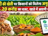 Haldi Ki Kheti Ke Liye Anudan Yojana Chhattisgarh