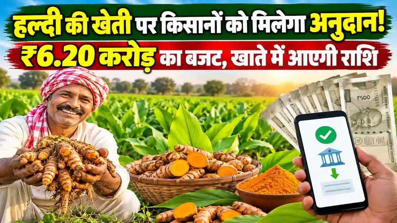 Haldi Ki Kheti Ke Liye Anudan Yojana Chhattisgarh