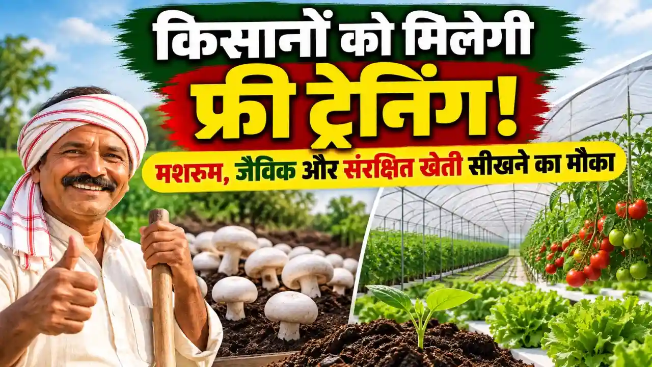 Haryana – Sundrah, Mahendragarh – Horticulture Training Centre – Calender