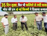 ICAR CAZRI Moth Bean Drought Resistant Varieties