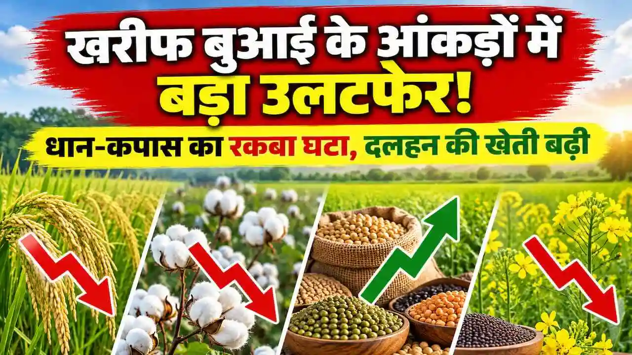 Kharif Crop Sowing Area 2026